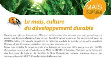 Brochure « Maïs Culture Durable »